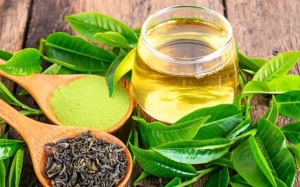 4 thức uống hàng ngày giúp kéo dài tuổi thọ