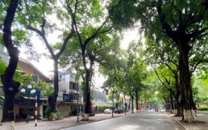 Nắng nóng ở Bắc Bộ giảm dần từ ngày 15/6