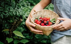 Những dưỡng chất giúp “chống nắng” cho da từ bên trong