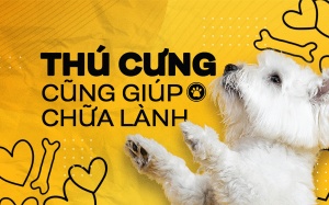 Thú cưng cũng giúp chữa lành
