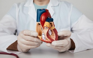 Mọi điều cần biết về bệnh van tim: Khái niệm, triệu chứng và điều trị