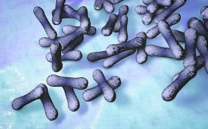 Bệnh bạch hầu nguy hiểm thế nào, ai có nguy cơ mắc bệnh?