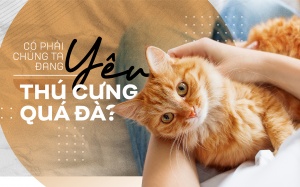 Có phải chúng ta đang yêu thú cưng quá đà?