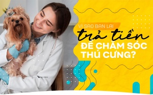 Vì sao bạn lại trả tiền để chăm sóc thú cưng?