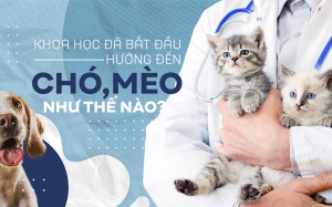 Khoa học đã bắt đầu hướng đến chó, mèo như thế nào?