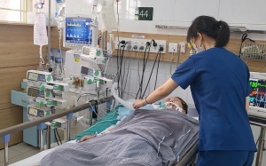 Người phụ nữ tử vong do uống nhầm thuốc sắc từ rễ cây lá ngón