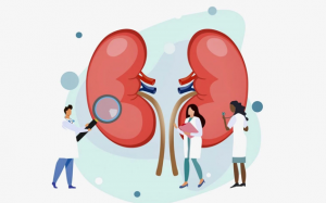 Vì sao bệnh suy thận ngày càng trẻ hóa?