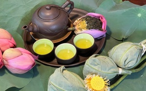 Thơm thoảng sen trà 