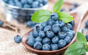 7 thực phẩm lành mạnh giúp tăng cường trí nhớ và sự tập trung