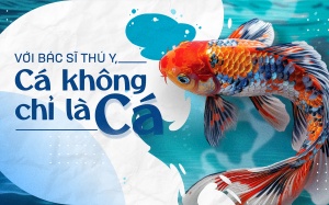 Với bác sĩ thú y, cá không chỉ là cá