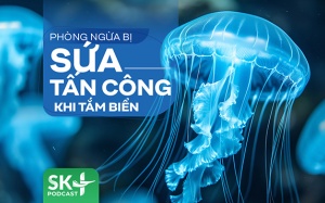 Podcast: Phòng ngừa sứa tấn công khi tắm biển