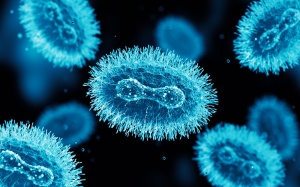 WHO cân nhắc ban bố tình trạng khẩn cấp vì đậu mùa khỉ