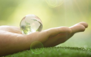 Tử vi thứ Tư (7/8/2024): Song Ngư cần bảo vệ những gì thuộc về mình