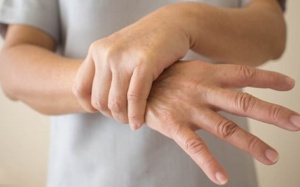 Ecklonia cava - Loại rong biển có thể giúp ngừa bệnh Parkinson