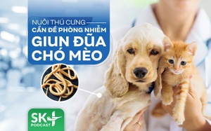 Podcast: Nuôi thú cưng cần đề phòng nhiễm giun đũa chó mèo