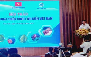 Biển Việt Nam có nhiều nguồn dược liệu quý phục vụ y học