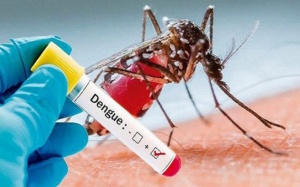 Số ca sốt xuất huyết gia tăng ở Hà Nội, cách phòng bệnh?