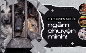 Từ chuyện người ngẫm chuyện mình!