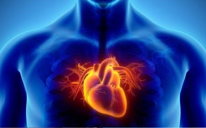 Cầu cơ tim là bệnh gì, có nguy hiểm không?
