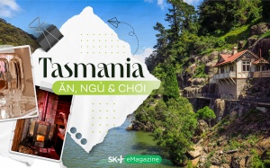 Tasmania - Ăn, ngủ và chơi