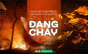 Vùng đất ngập nước lớn nhất thế giới… đang cháy 
