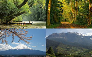 Khám phá vẻ đẹp của 7 Vườn Quốc gia hàng đầu châu Á năm 2024