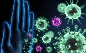 Các loại thực phẩm giúp tăng cường hệ miễn dịch khi thời tiết sang Thu