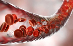 Một số gia vị, thảo dược tự nhiên giúp tăng lưu thông máu tới tim