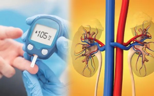 Người bệnh đái tháo đường kèm suy thận dùng TPBVSK Hộ Tạng Đường được không?