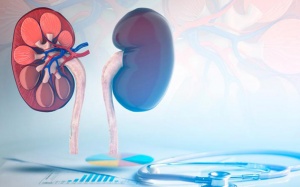 Suy thận kéo theo nhiều biến chứng nguy hiểm