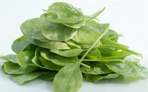 Rau bina có thể giúp giảm nguy cơ rối loạn cương dương