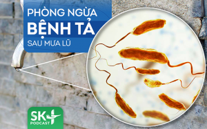 Podcast: Phòng ngừa bệnh tả sau mưa lũ