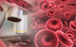 Ung thư máu và những điều bạn cần biết