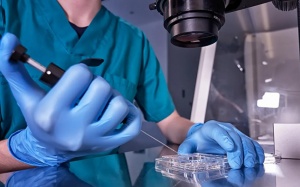 Nghiên cứu mới: Phương pháp IVF làm tăng nguy cơ mắc bệnh tim bẩm sinh