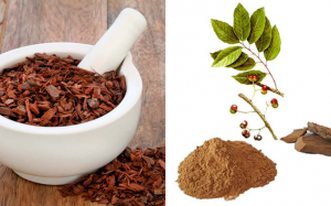 Lợi ích của chiết xuất anh đào châu Phi với sức khỏe phái mạnh