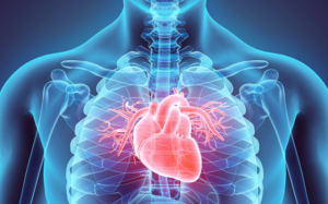 4 yếu tố làm tăng nguy cơ mắc bệnh tim mạch