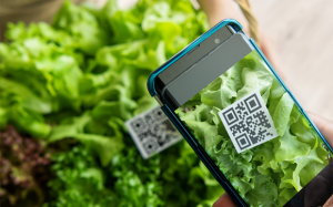 ATTP trong bếp ăn tập thể: Quan trọng là truy xuất nguồn gốc thực phẩm 