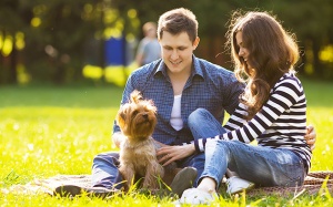 Nuôi chó mang lại nhiều tác động với sức khỏe thể chất – tinh thần