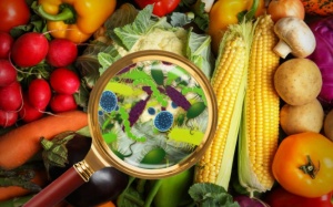 Thủ tướng yêu cầu tăng cường phòng ngừa ngộ độc thực phẩm