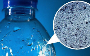 Hạt vi nhựa có thể làm tăng nguy cơ đau tim, đột quỵ