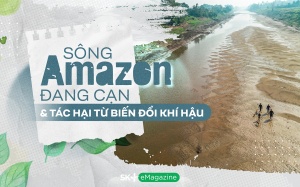 Sông Amazon đang cạn & tác hại từ biến đổi khí hậu