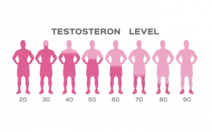 Mức testosterone theo độ tuổi ở nam giới