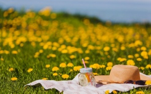 Tử vi thứ Sáu (25/10/2024): Thiên Bình sẽ có ngày mới rất thuận lợi