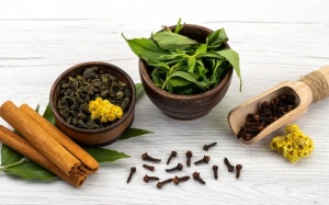 Sỏi mật 25mm, đang cho con bú có dùng thảo dược được không?