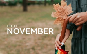 Tử vi tháng 11/2024: Kim Ngưu nên chú ý hơn tới các mối quan hệ xã giao