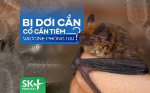 Podcast: Bị dơi cắn có cần tiêm vaccine phòng dại không?