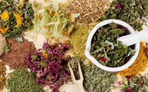 Gợi ý một số bài thuốc trị sỏi mật lưu truyền nhiều trong dân gian