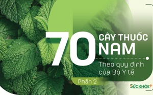 Thuốc Nam trong vườn: 5 loại cây giúp giải độc gan