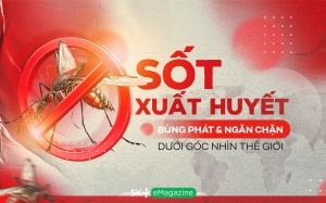 Sốt xuất huyết: Bùng phát & ngăn chặn dưới góc nhìn thế giới