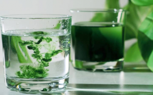 4 lợi ích tiềm năng của thực phẩm bổ sung diệp lục